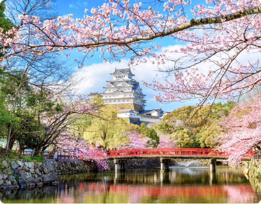 Smooth Beginnings in Osaka