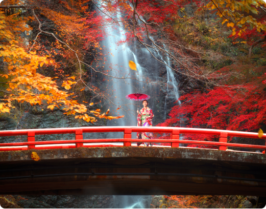 Kyoto Unveiled with OSAKALIMO
