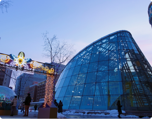Winter Wonders of Sapporo
